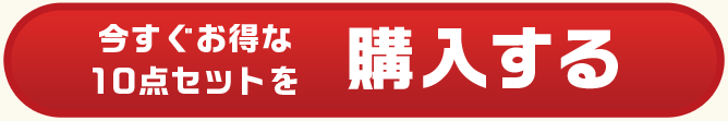 今すぐお得な10品セットを購入する